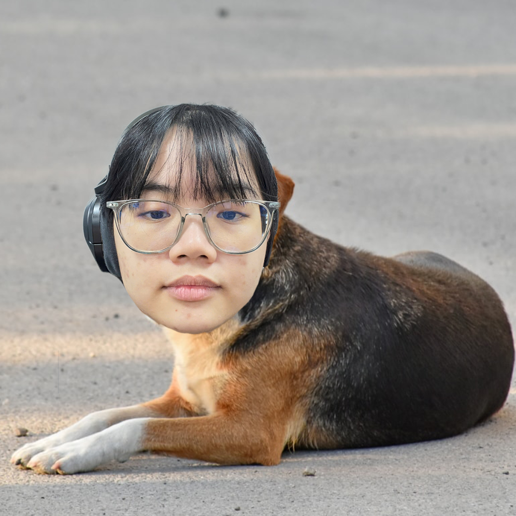 Sầm Xổi Hồng